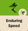 Enduring Speed image