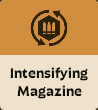 Intensifying Magazine image